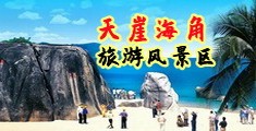 双飞黄色网海南三亚-天崖海角旅游风景区