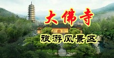 男人的大长几巴透女人的大毛逼中国浙江-新昌大佛寺旅游风景区