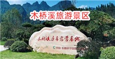 大鸡巴小黄片操逼射精视口爆视频
